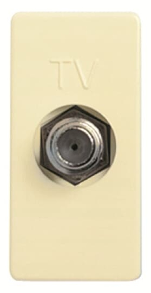 2150 BM TV outlet Ftype 1M