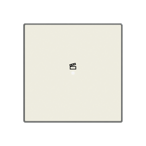 SRS-1-85BL - Cover plate - freehome  KNX 1-gang sensors - Scene - Soft White