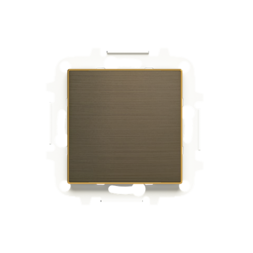 Blank cover Blind plate with Without imprint Gold  Sky Niessen