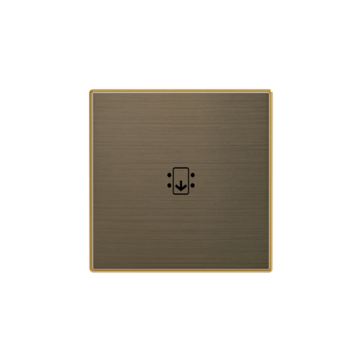 Rocker switch Symbol "keydoor" for Switchpush button Hotel card Gold - Sky Niessen