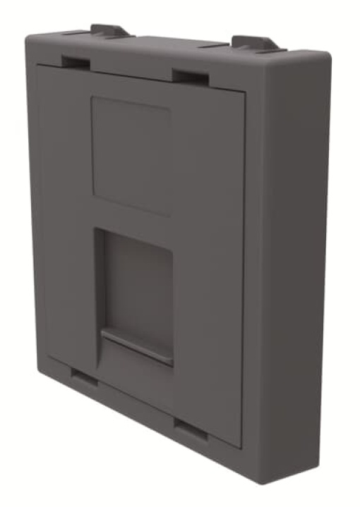 Cover plate Infraplus RJ45 2M AN Central cover plate Anthracite - CEM