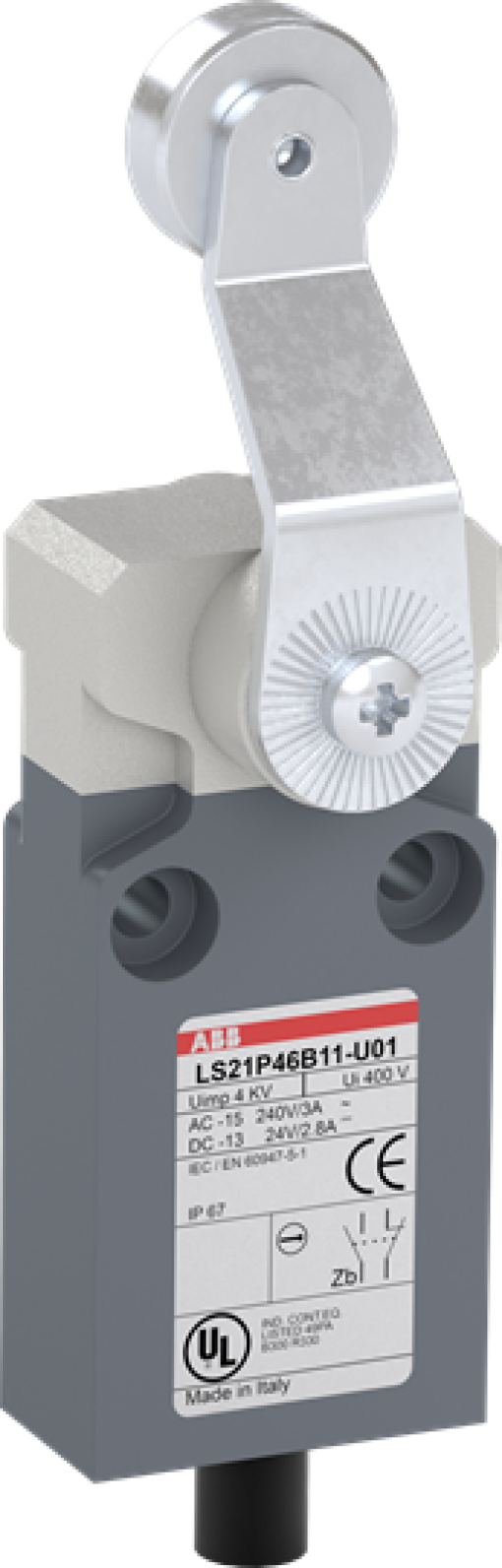 LS21P46B11-U01 Limit Switch