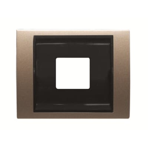 Cover USB charger USB 1 gangs Brass  - Olas