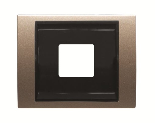 Cover USB charger USB 1 gangs Brass  - Olas