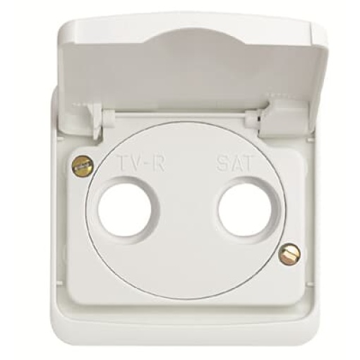 Cover plate with Hinged Lid SAT 2 gang Alpine white - Arco