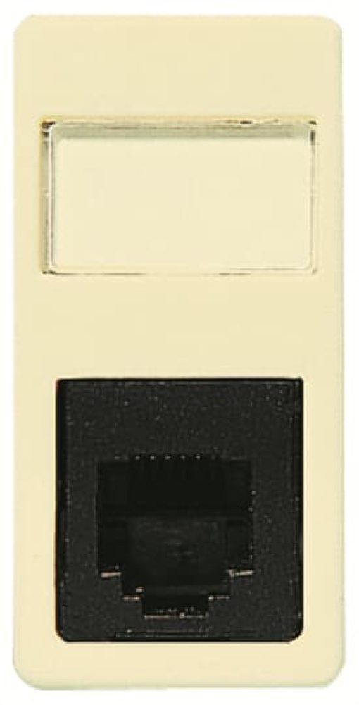 Data outlet RJ45 1 gang Cream white electro white - Stylo