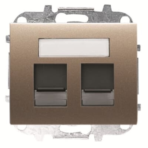 Cover data Data connection 2 gang Brass - Olas