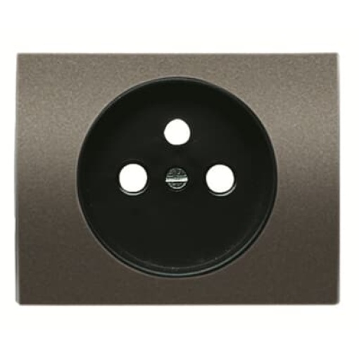 Cover socket French Central cover plate for Wall socket Without imprint Aluminium - Olas