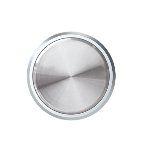 Cover Blind plate with Without imprint Chrome - Skymoon