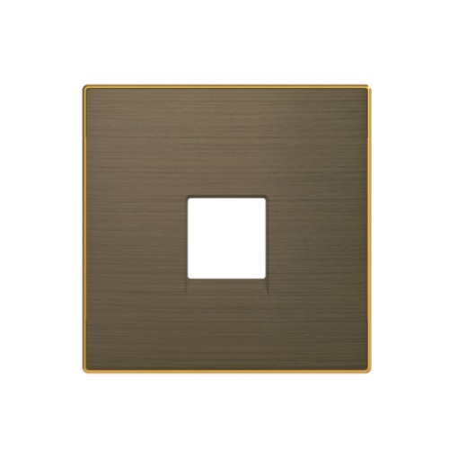 Cover plate Data connection 1 gang Gold - Sky Niessen