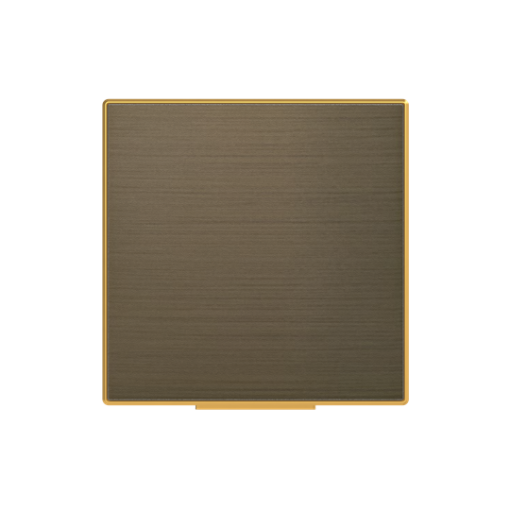 Cover socket outlet Without imprint Gold - Sky Niessen