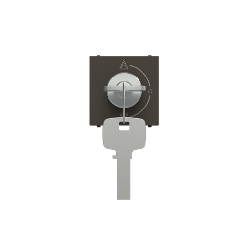 Key switch insertcover Key, Alternating-alternating switch Anthracite - Zenit