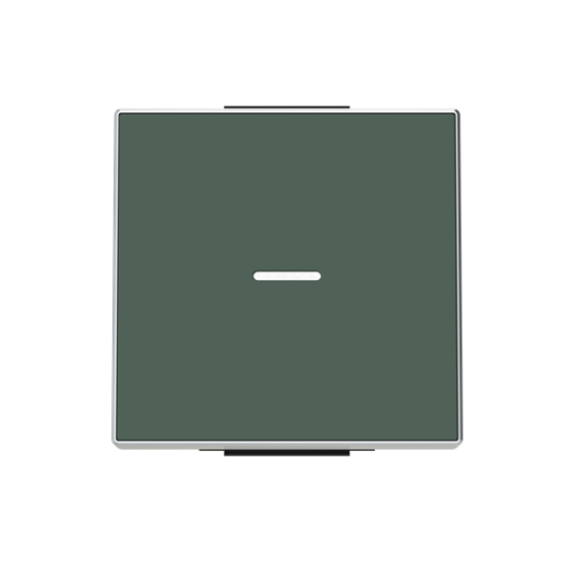 Rocker Without imprint for Switchpush button, Single rocker Green - Sky Niessen