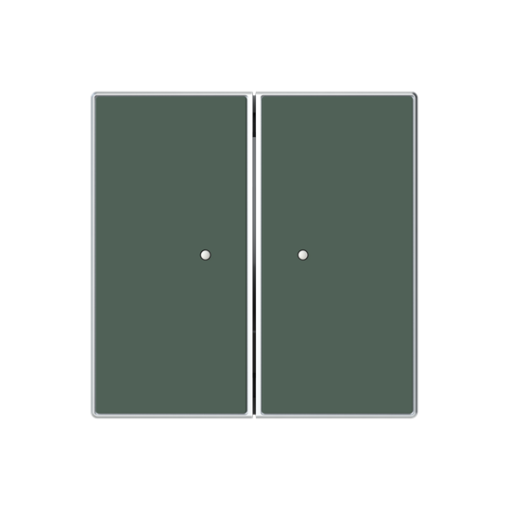 RF switch Green - Sky Niessen