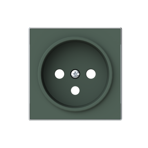 Cover socket outlet Without imprint Green - Sky Niessen