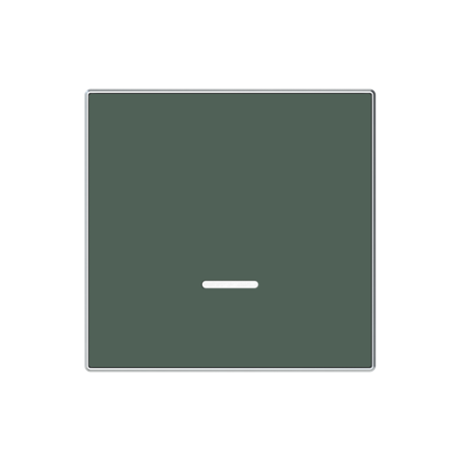 Cover plate Time indication for Time switch Central cover plate Green - Sky Niessen