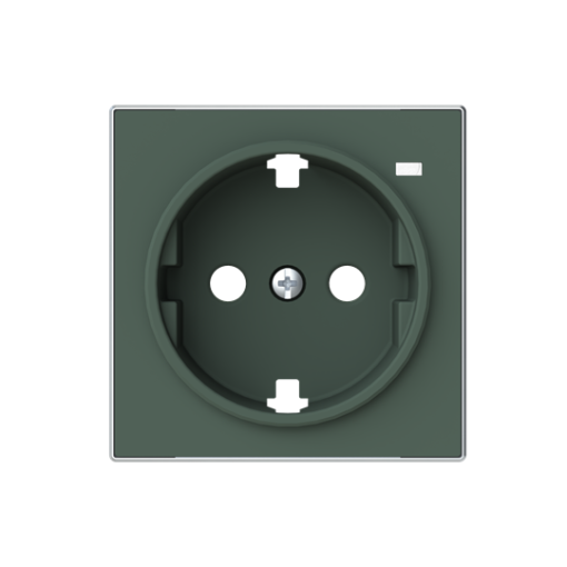 Cover socket outlet Without imprint Green - Sky Niessen