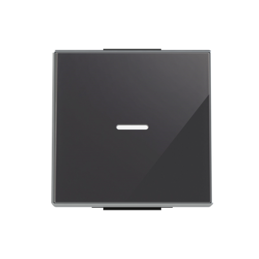 Rocker Without imprint for Switchpush button, Single rocker Black Glass - Sky Niessen