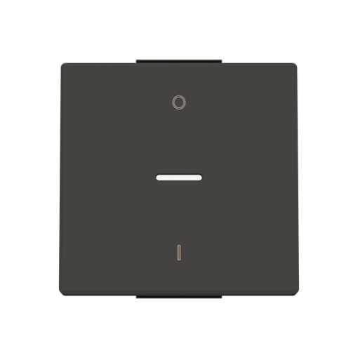 Rocker Characters 0 and 1 for Switchpush button, Single rocker Black - Sky Niessen