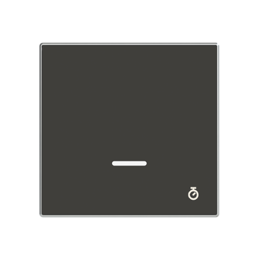 Cover plate Time indication for Time switch Central cover plate Black - Sky Niessen