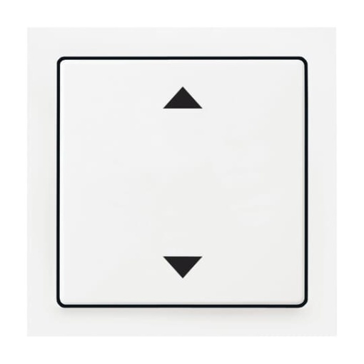 Cover plate with legend Symbol "light" with Small Transparent Calotte for Switchpush button, Single rocker aluminium silver - impuls