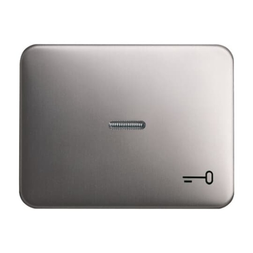 Rocker with legend Symbol "key" with Small Transparent Calotte for Switchpush button, Single rocker platinum - alpha