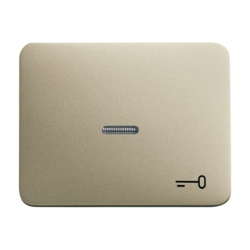 1789 TR-260 Switch rocker with marking with small transparent lens