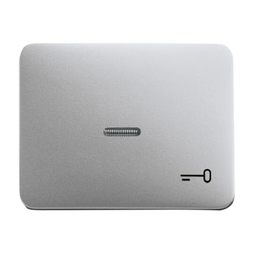 Rocker with legend Symbol "key" with Small Transparent Calotte for Switchpush button, Single rocker titanium - alpha