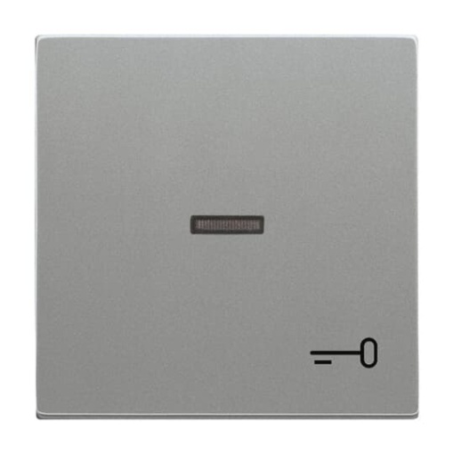 Rocker with legend Symbol "key" for Switchpush button, Single rocker grey metallic - Platform 63