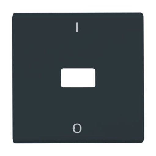 Rocker with legend Characters 0 and 1 Open for Symbol for Switchpush button, Single rocker anthracite - Allwetter 44 IP 44