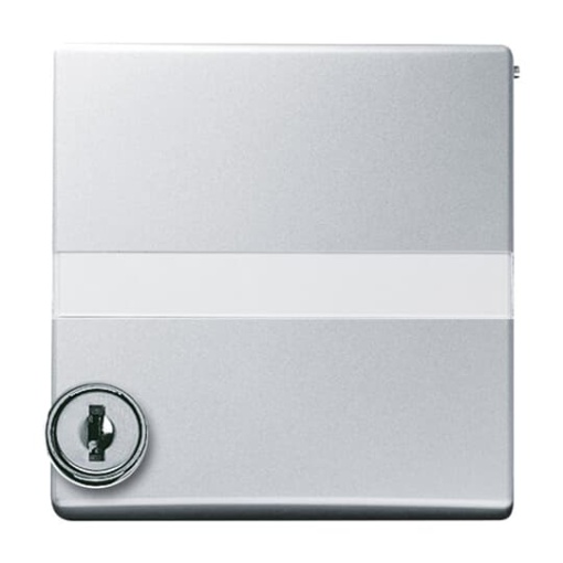 Intermediate Ring with labelling field with Hinged Lid Cylinder with Simultaneous Locking Cover plates Busch-Duro 2000 SI and Reflex SI aluminium silver - Allwetter 44 IP 44