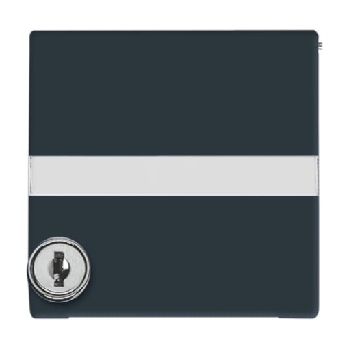 Intermediate Ring with labelling field with Hinged Lid Cylinder with Simultaneous Locking Cover plates Busch-Duro 2000 SI and Reflex SI anthracite - Allwetter 44 IP 44