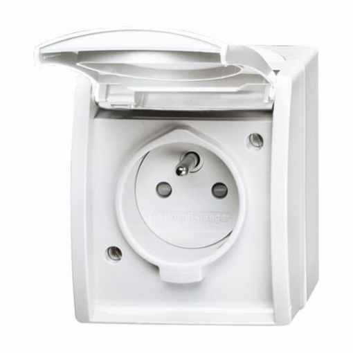 Socket insert with earthing pin, labelling field Safety Shutter with Hinged Lid alpine white  - ocean