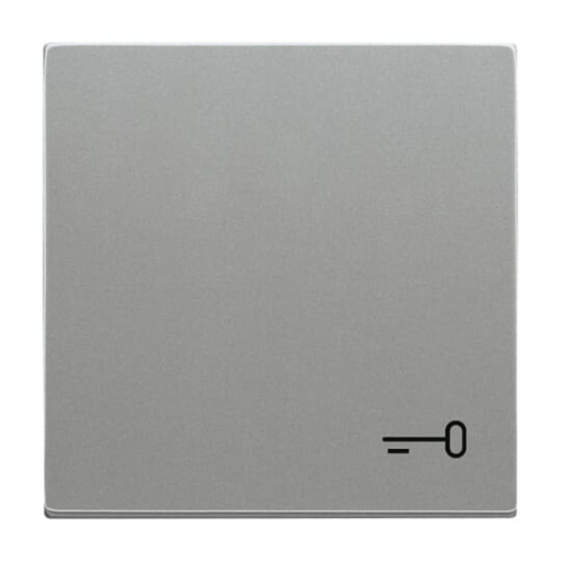 Rocker Symbol "key" for Switchpush button, Single rocker grey metallic - Platform 63