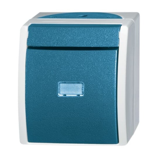 Switch Two-way switch with Neon lamp grey  blue-green - ocean
