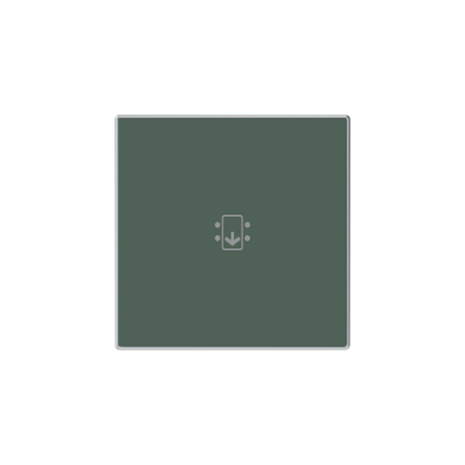 Rocker Symbol "keydoor" for Switchpush button Hotel card Green - Sky Niessen