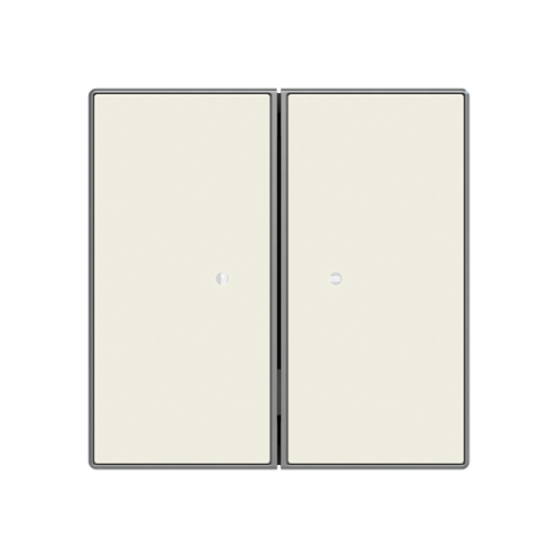 RF switch 2 channel Radio Control White - Sky Niessen