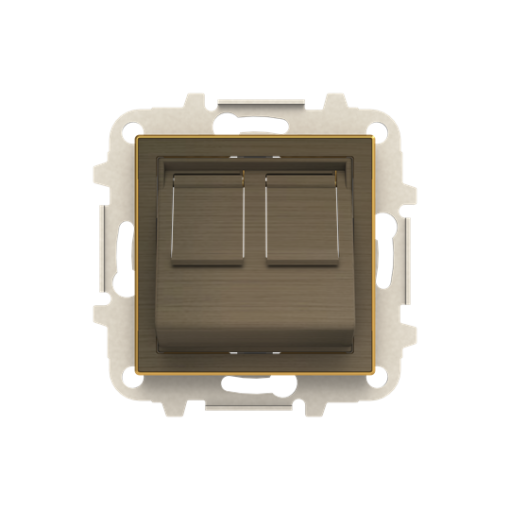 Cover plate Data connection 2 gang Gold - Sky Niessen