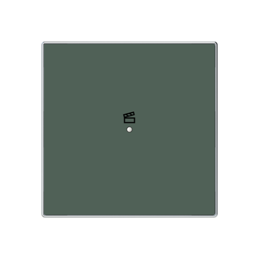 Cover plate Scene symbol for Switchpush button Single push button Green - Sky Niessen