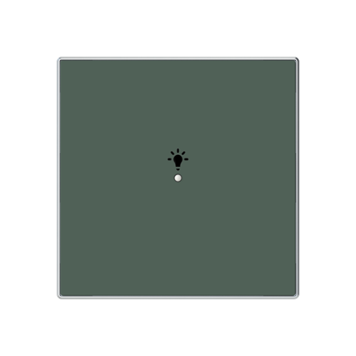 Cover plate Symbol "light" for Switchpush button Single push button Dune - Sky Niessen