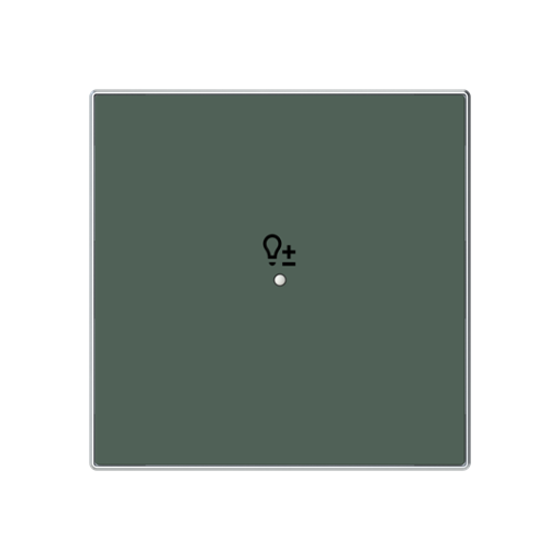 Cover plate Symbol "light" for Switchdimmer Single push button Green - Sky Niessen