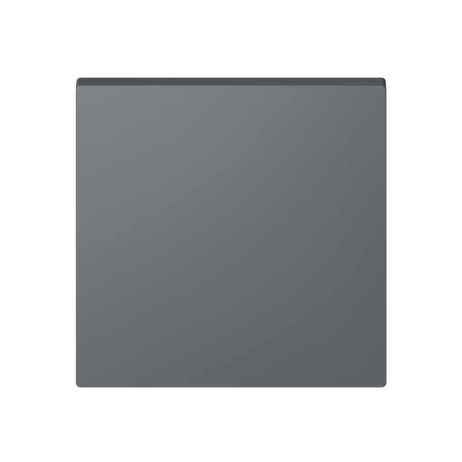 Cover socket outlet Central cover plate for Socket outlet Without imprint Grey - Alba