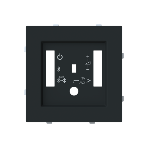Cover plate Radio receiver Central cover plate Black - Alba