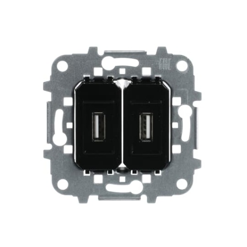 Insert USB Straight version 2gang