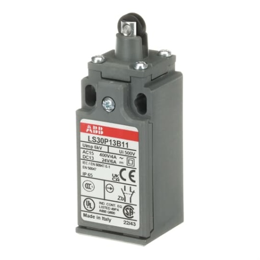 LS30P13B11 Limit Switch