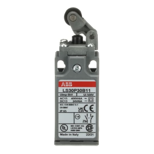LS30P30B11 Limit Switch