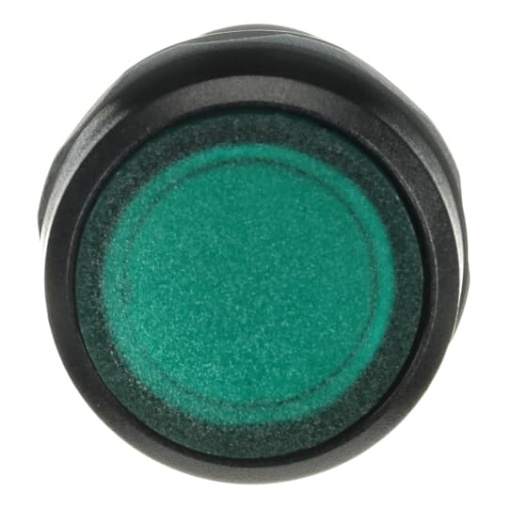 CP1-11G-10 Pushbutton