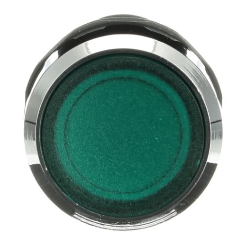 CP1-31G-10 Pushbutton
