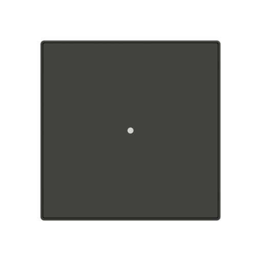 RF switch Black - Sky Niessen