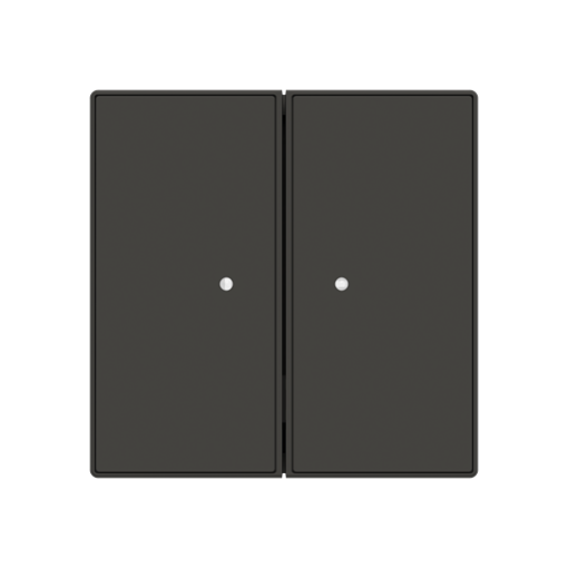 RF switch Black - Sky Niessen